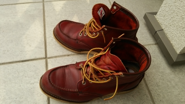redwing