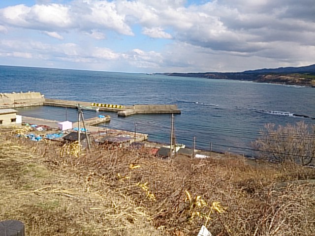 DSC_0007.jpg
