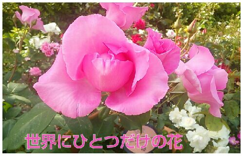 rblog-20160519200428-00.jpg
