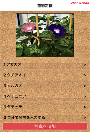 7 11 撮ったお花の名前が判る アプリ 他 Chao Chao 楽天ブログ