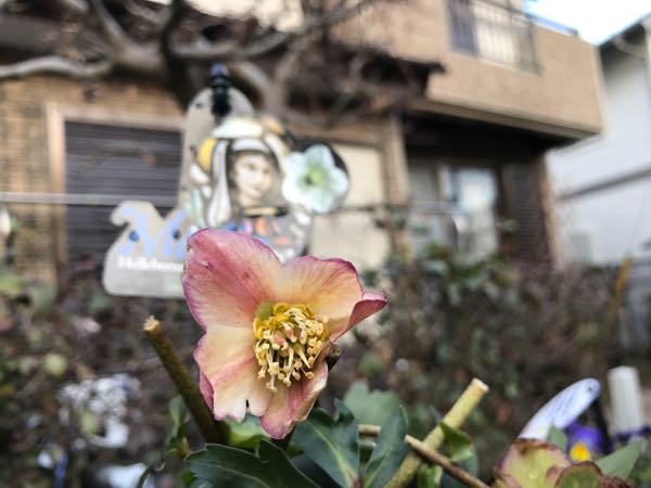 rblog-20170223222527-08.jpg