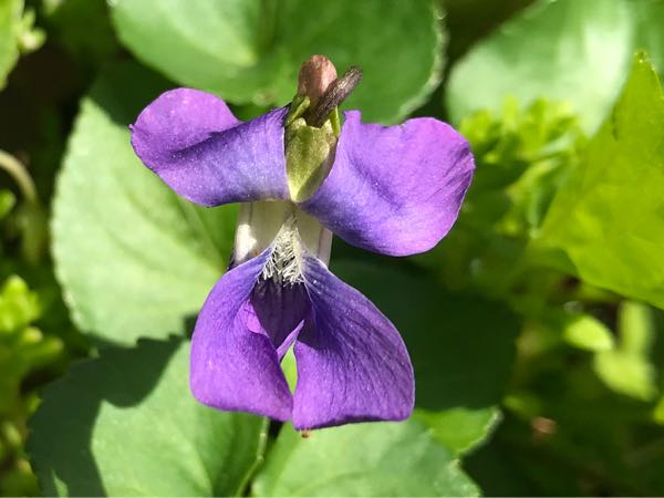 rblog-20190423182021-03.jpg