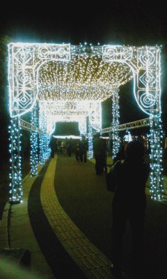2013イルミ１