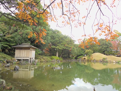 fukui2.jpg