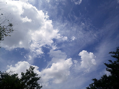 IMG_20160808_121305.jpg