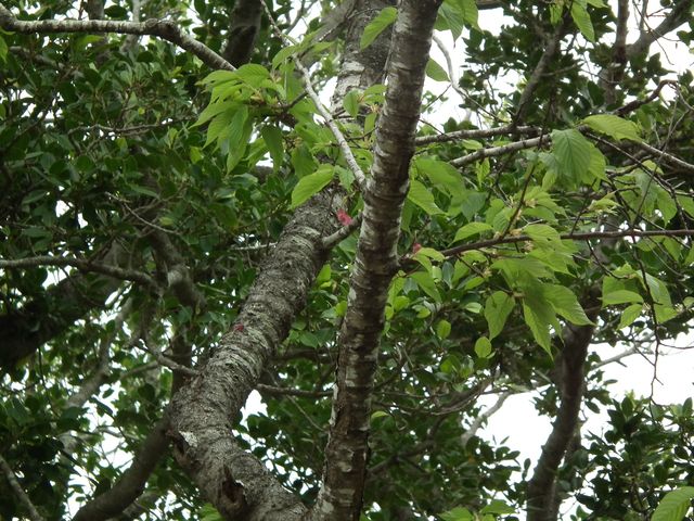 DSCF8975.JPG