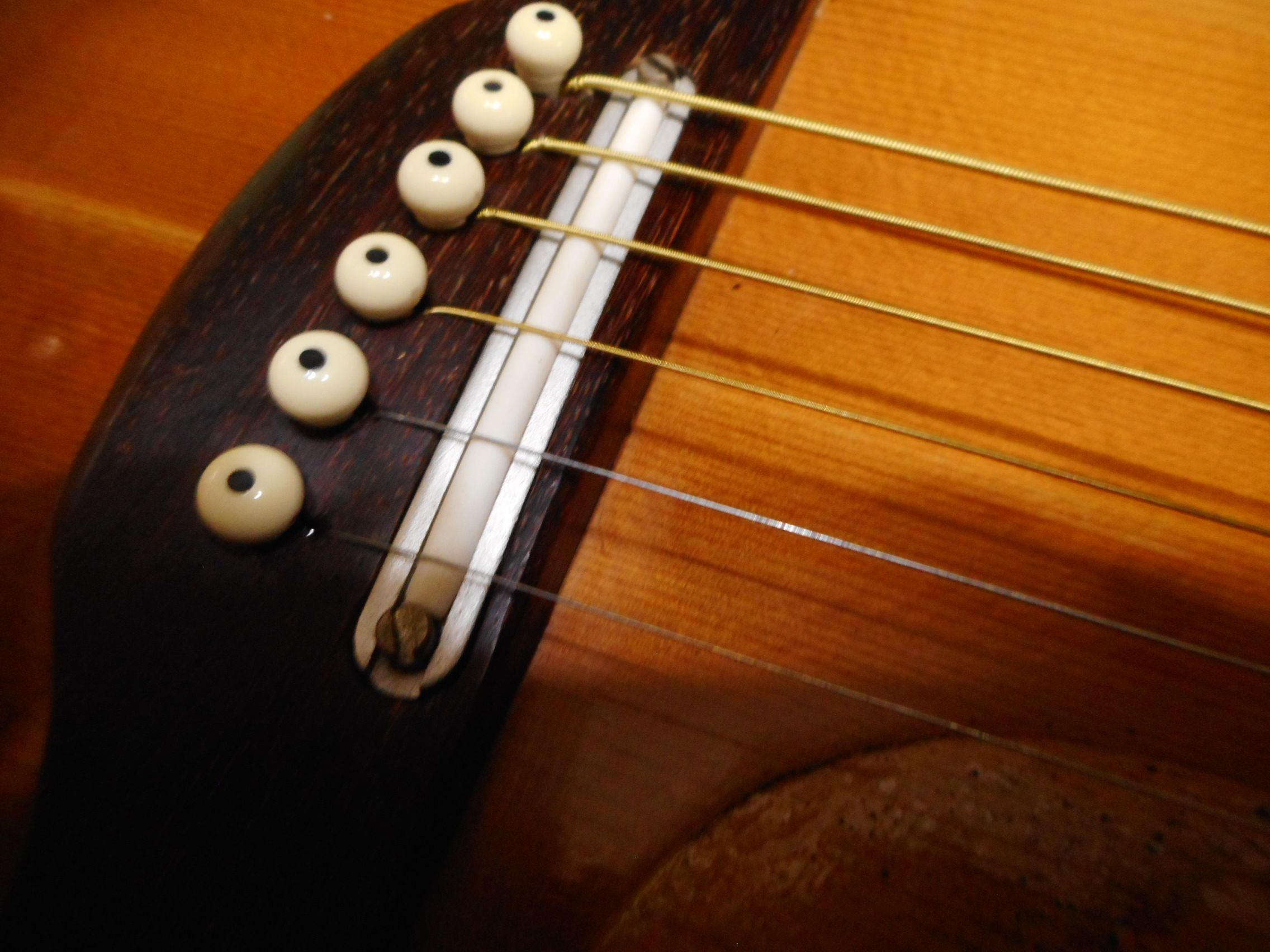 Hamox ギター アコースティックギター m84848327702_1.jpg?1591490820