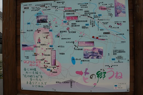 DSC01054.JPG