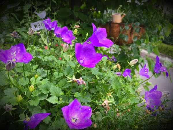 rblog-20160627205604-07.jpg