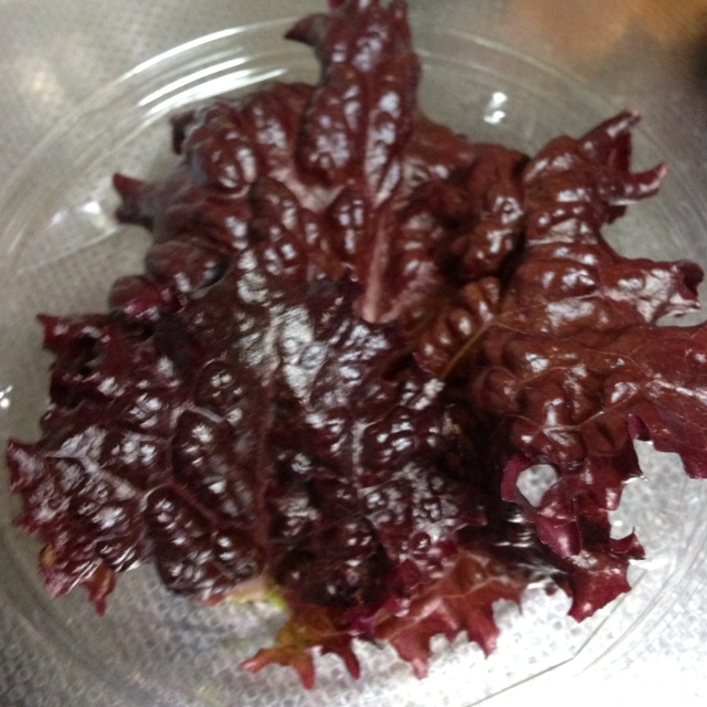 rblog-20130130183501-02.jpg