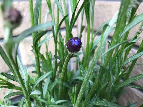rblog-20190324174746-06.jpg