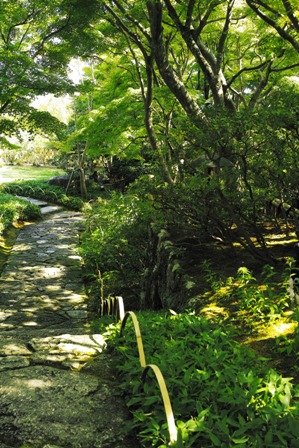 庭園縦.JPG