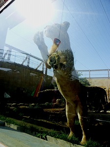 20120428(41).jpg