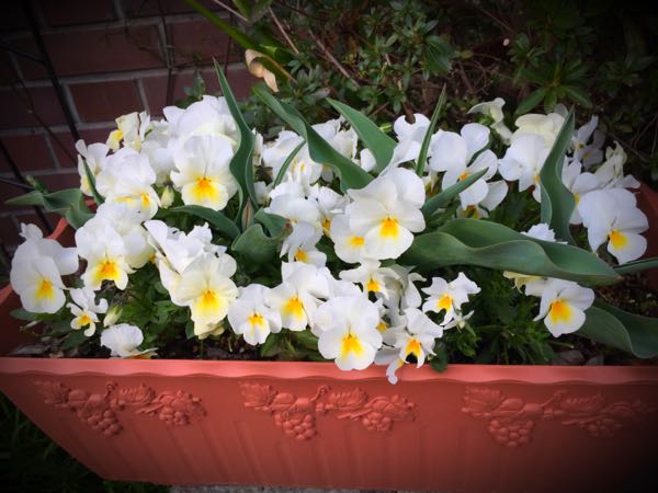 rblog-20160330183729-08.jpg
