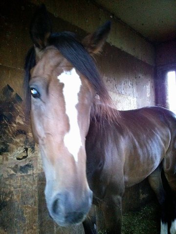 ダイナミックワルツ