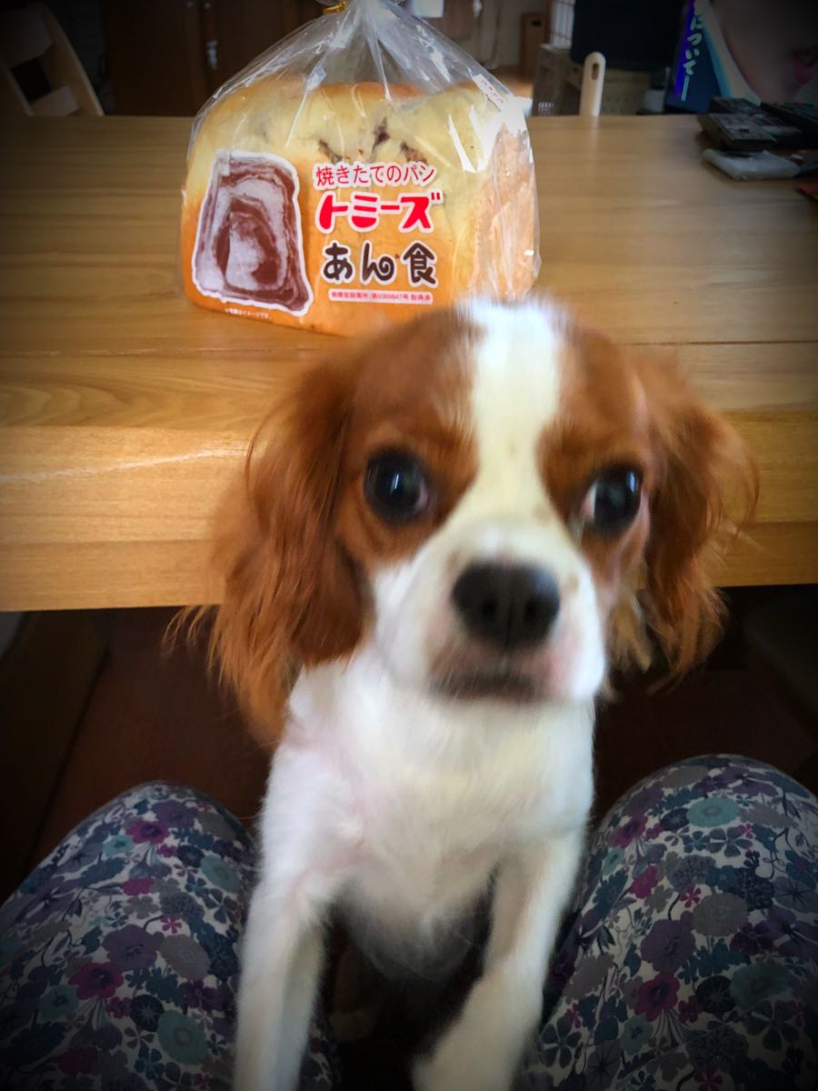 rblog-20180830082648-02.jpg