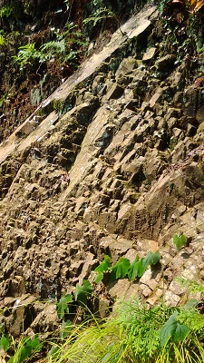 岩１
