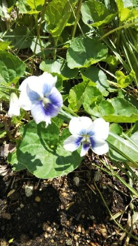 rblog-20180507204852-03.jpg