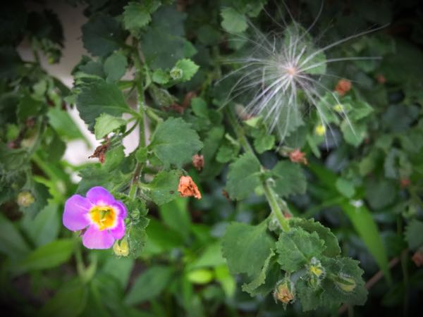 rblog-20160627195701-01.jpg