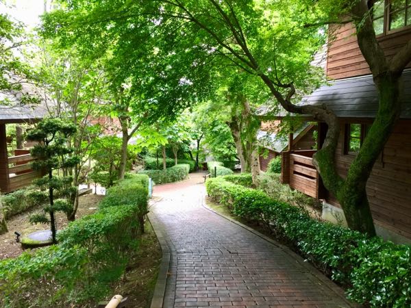 rblog-20180611190042-01.jpg