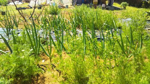 rblog-20180409234228-04.jpg