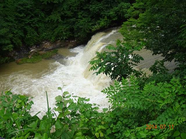 DSC04397_R.JPG