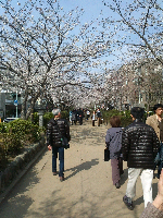 rblog-20130324173532-01.png