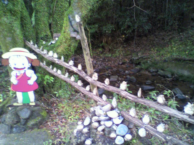 2012102714550000.jpg