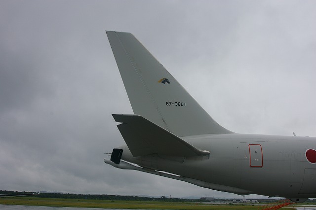 IMGP1110.jpg