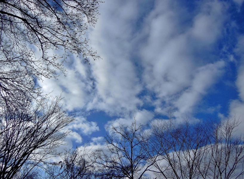 空 6.JPG