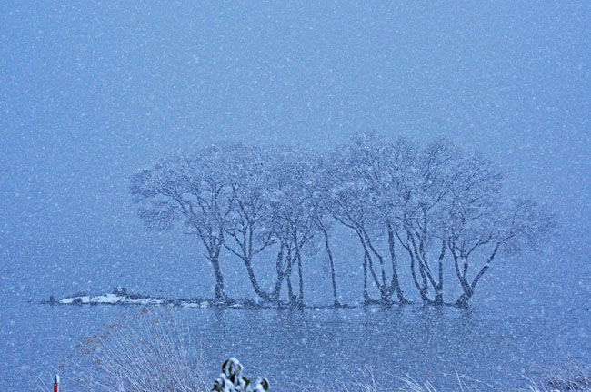 雪２