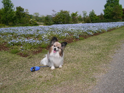 清水公園１０.JPG