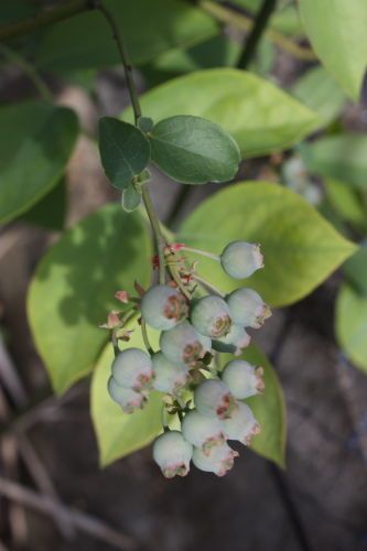 2015053103.JPG