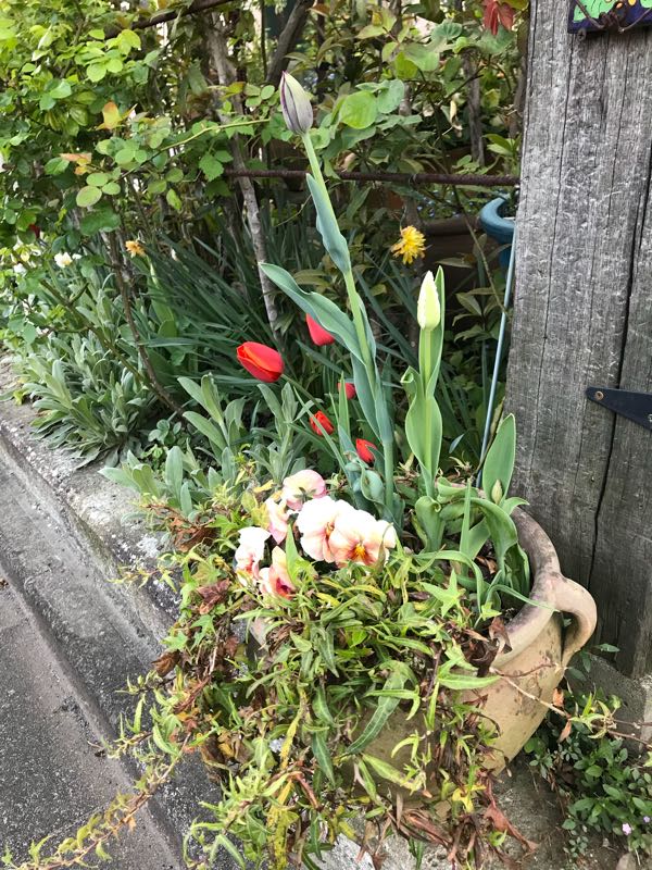 rblog-20180408181337-04.jpg