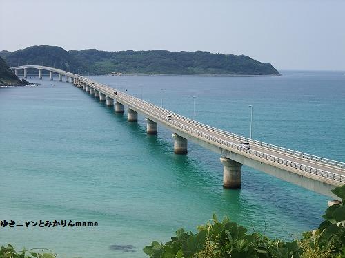 DSCF2496.jpg