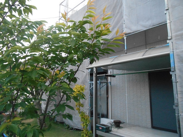 DSCN0519.JPG