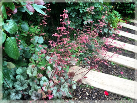 横浜イングリッシュガーデン