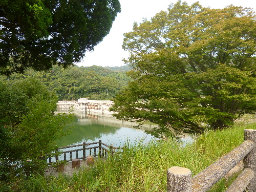 P1130594(1).JPG