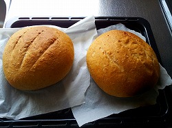 手作りカンパーニュ