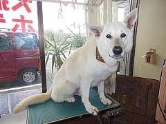 conv0123.JPG