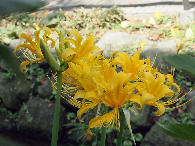 s-p2692.jpg