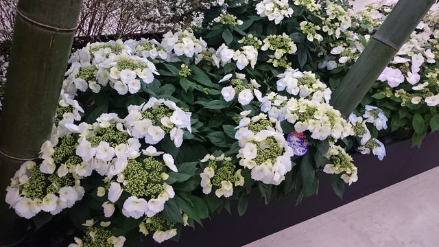 2016-02-14 10.19.37.jpg