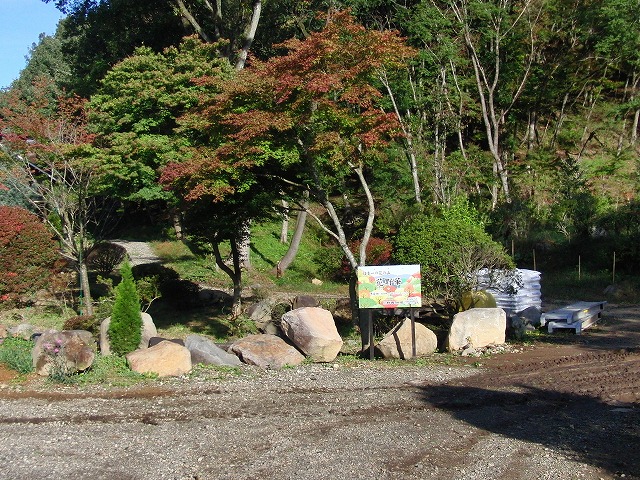CIMG3790.jpg