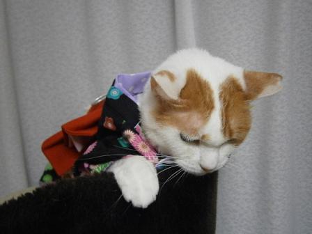 maru