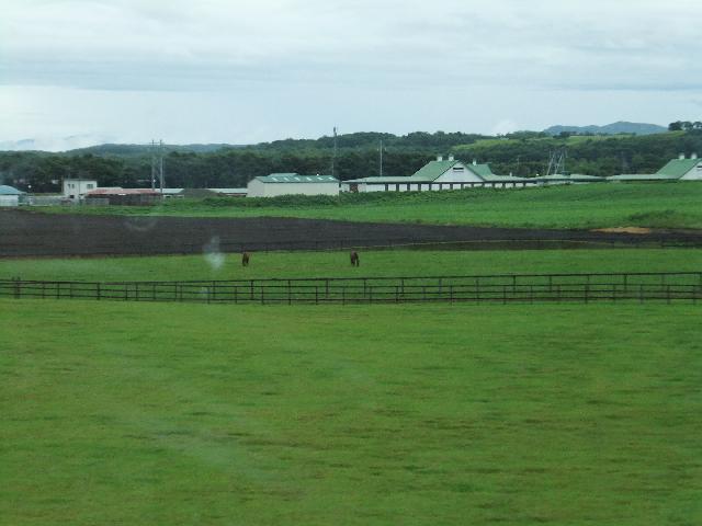 DSCF1126.jpg