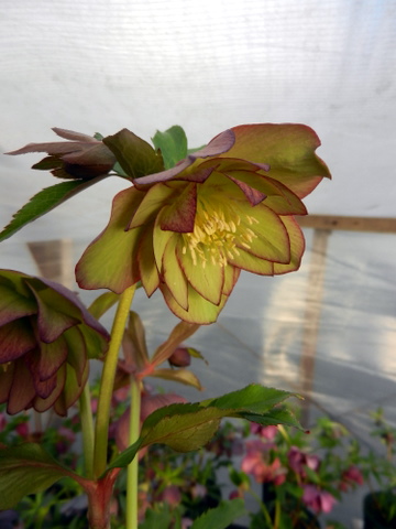 DSCN0760.JPG