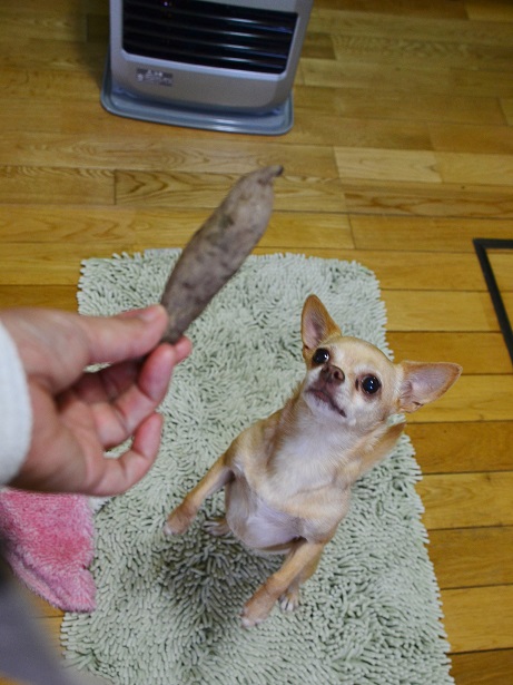 DSC_0328.JPG