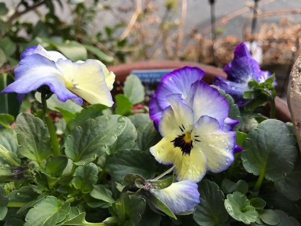 rblog-20170223222747-07.jpg
