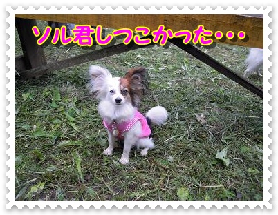 あみちゃん.JPG