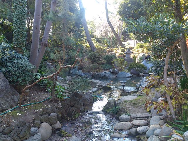 2013-01-02 12.37.49.jpg
